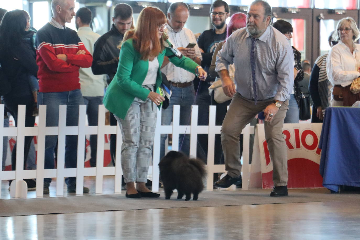 XXV Exposición Internacional Canina de León