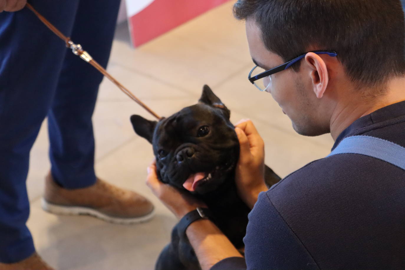 XXV Exposición Internacional Canina de León