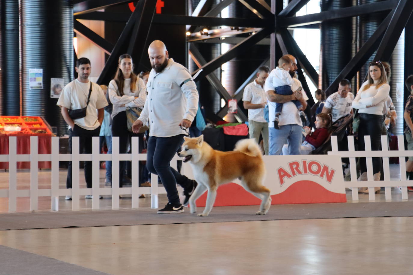 XXV Exposición Internacional Canina de León