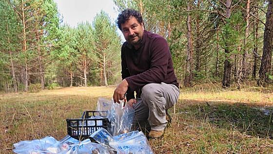León registra una producción media de boletus durante esta campaña