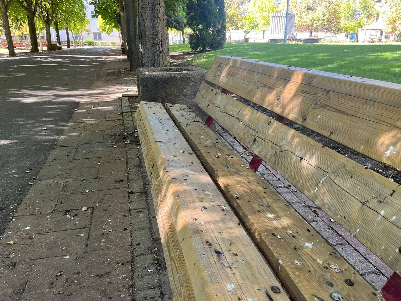 Imagen principal - El PP denuncia que la basura y la maleza «tapan» las zonas verdes del Polígono X