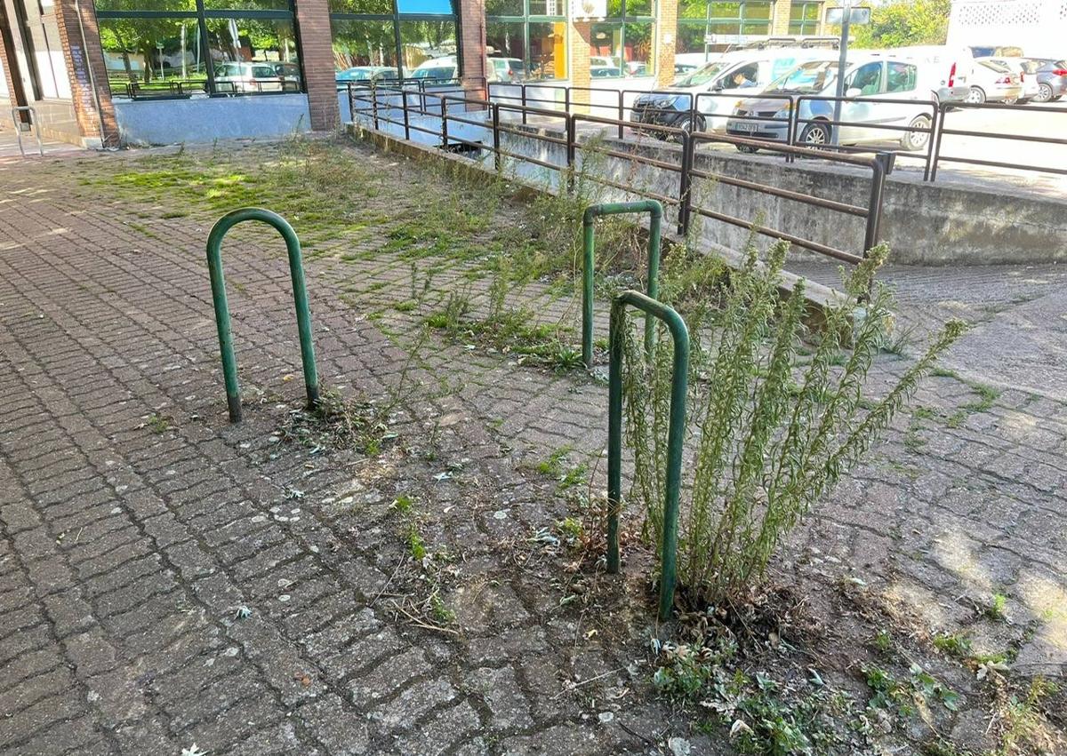 Imagen secundaria 1 - El PP denuncia que la basura y la maleza «tapan» las zonas verdes del Polígono X