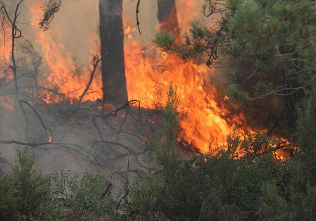 Imagen de archivo de un incendio en León.