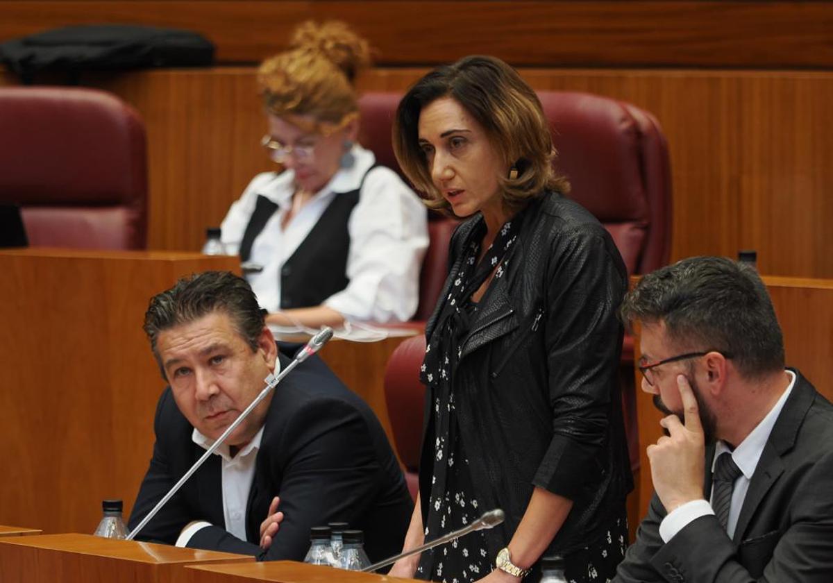 La procuradora por UPL en las Cortes, Alicia Gallego, en el pleno de este martes.