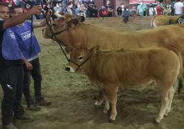 Certamen Asturiana de los Valles en Villablino en 2021