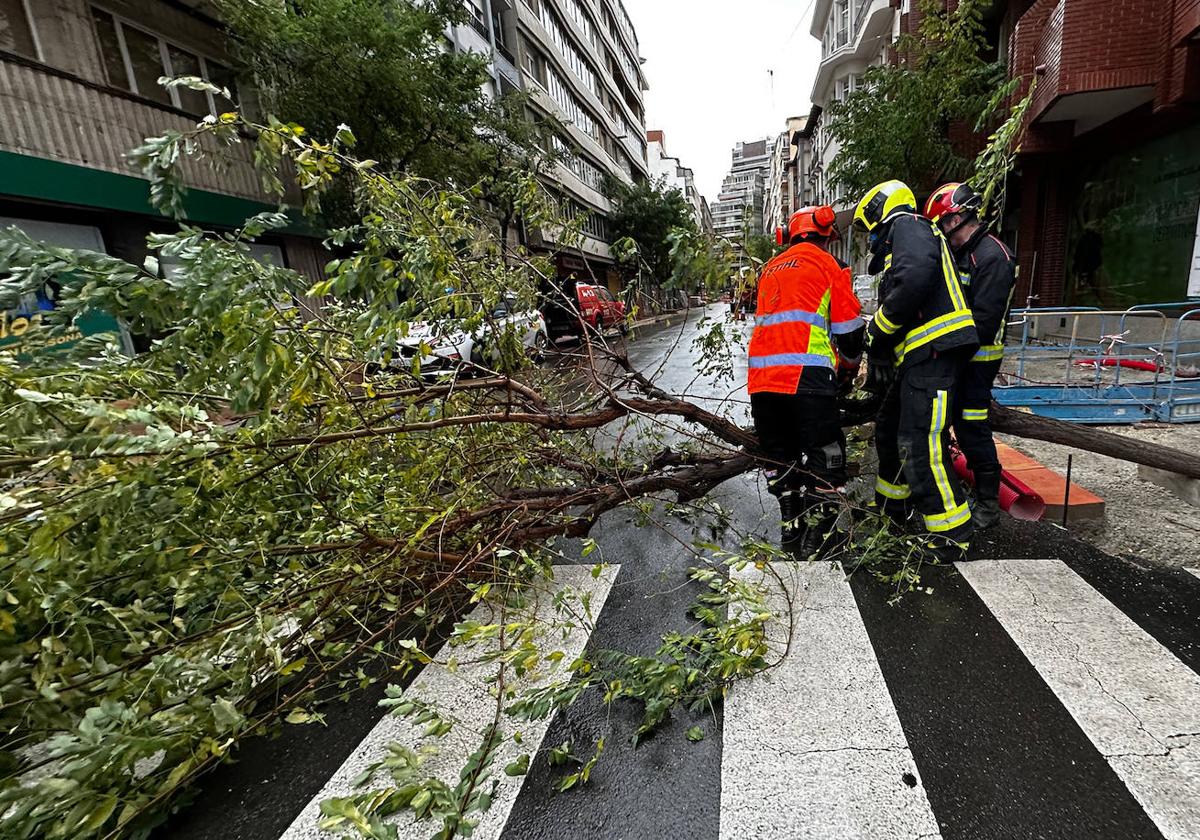 Imagen de archivo de los bomberos retirando un árbol que ponía en peligro la seguridad de los viandantes.