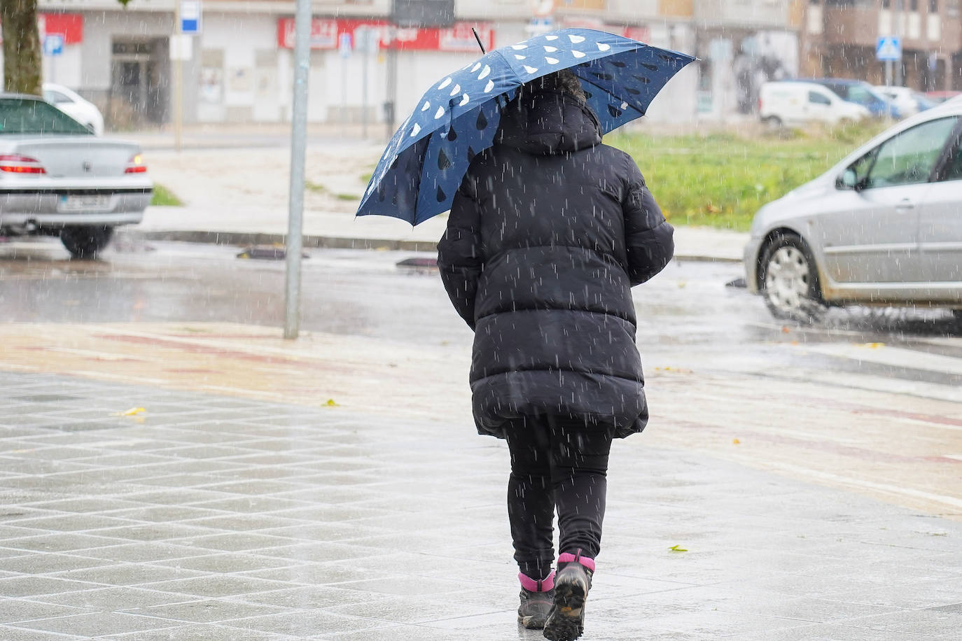 Temporal de viento y lluvia en León