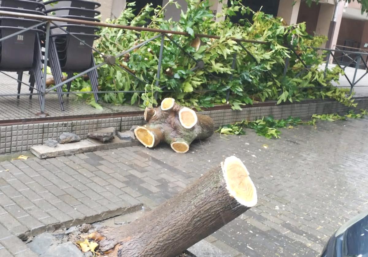 Árbol caído sobre un vehículo en la calle Bernesga, del barrio de Pinilla.