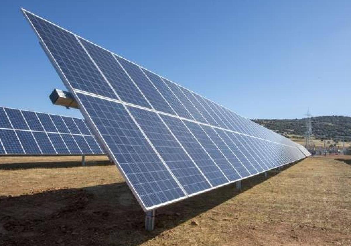 Placas solares colocadas en un parque fotovoltaico