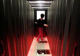 Imagen de Caléndula.