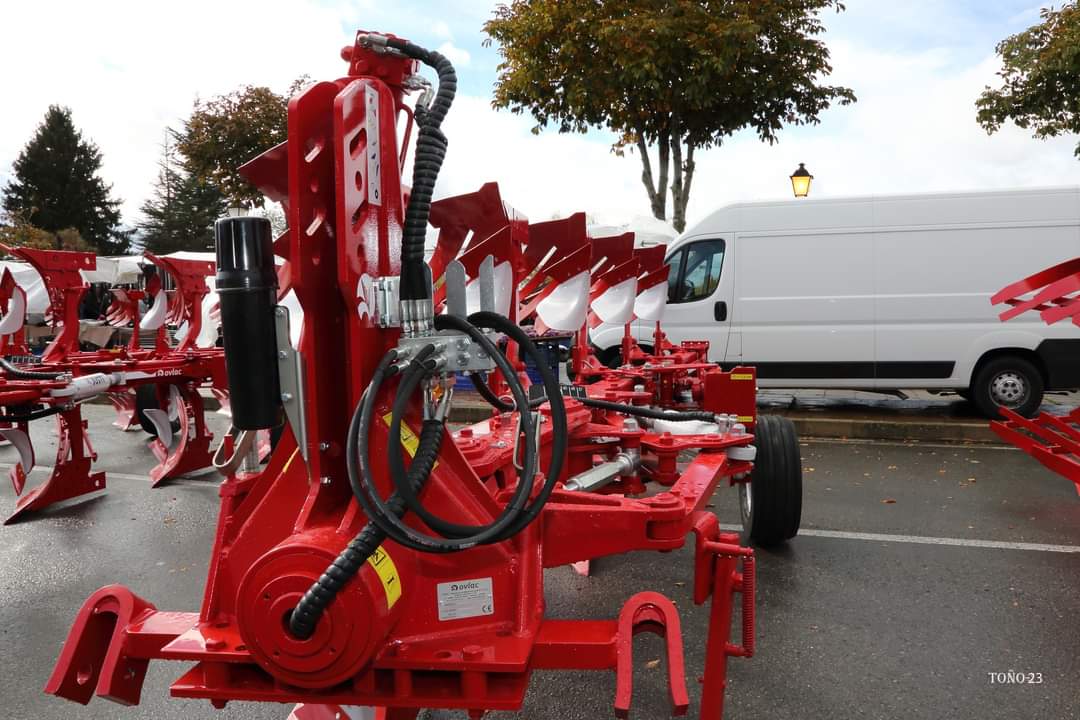 Feria de San Martín en Mansilla de las Mulas