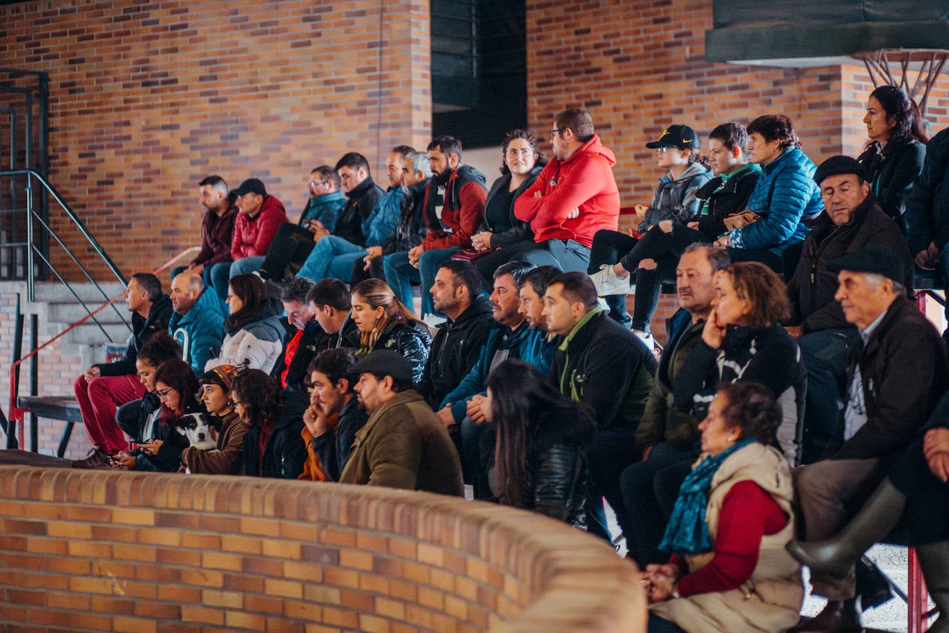 Jornada sobre la mantequera leonesa en Villablino