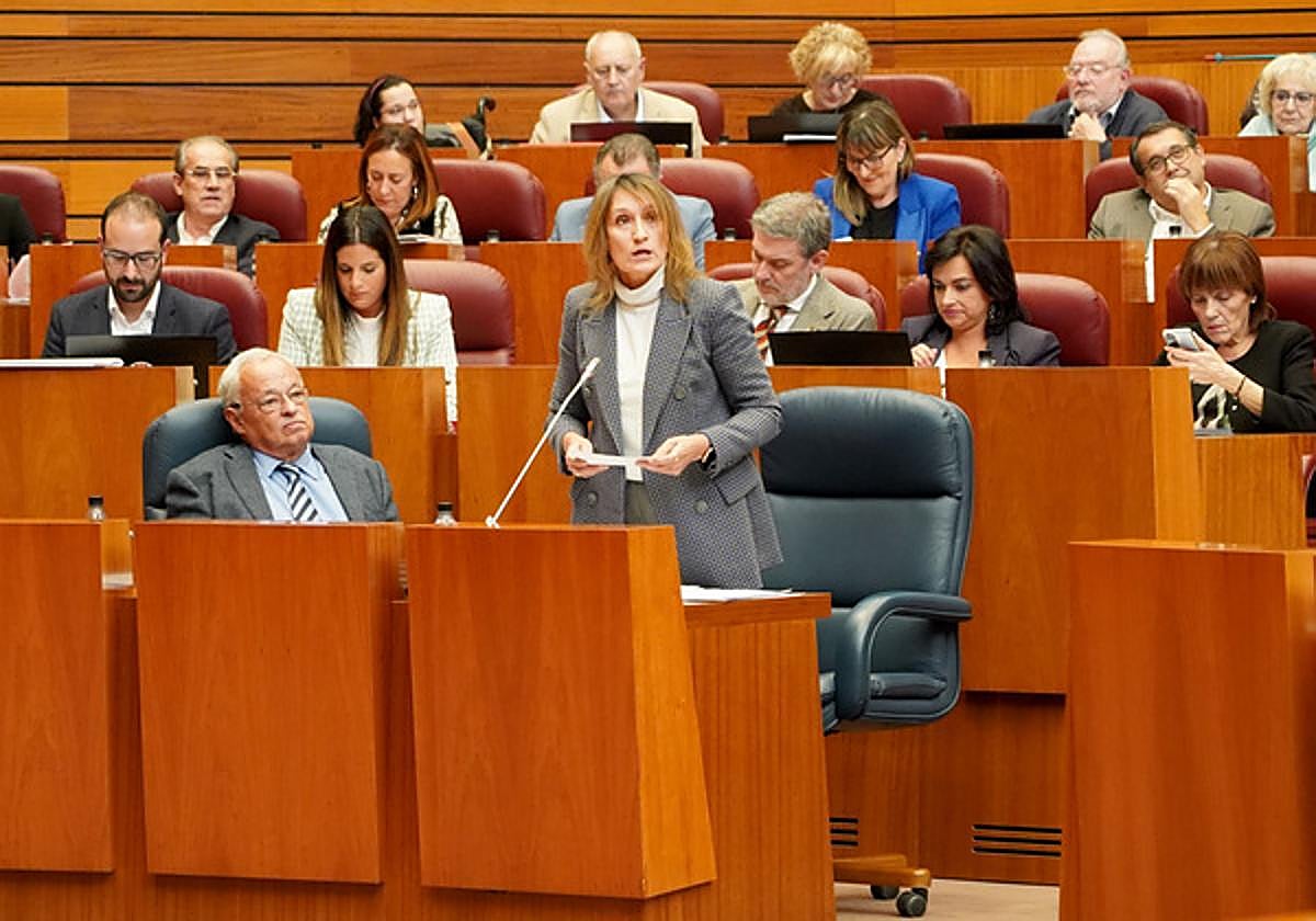 Intervención de la consejera de Educación, Rocío Lucas, en el Pleno de las Cortes de Castilla y León.