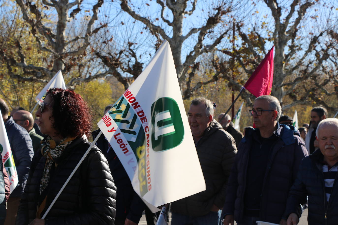 Manifestación del campo leonés