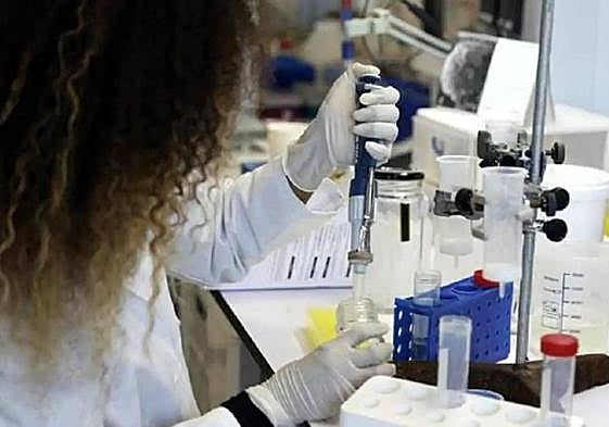 El modelo planteado pretende mejorar la salud de todos.