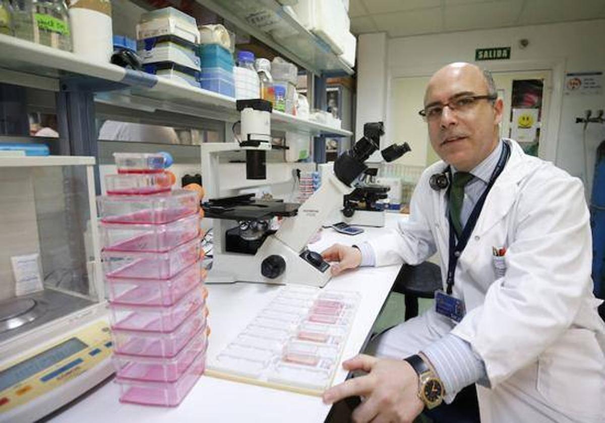 El doctor Fermín Sánchez-Guido Martín, director del área de Terapia Celular del hospital de Salamanca.