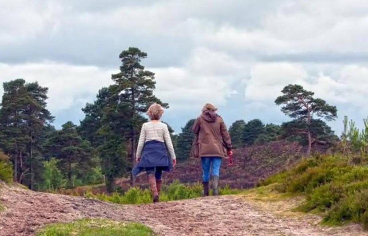 La Junta Convoca Las Subvenciones Del Programa De Apoyo A Mujeres En El Mbito Rural Y Urbano