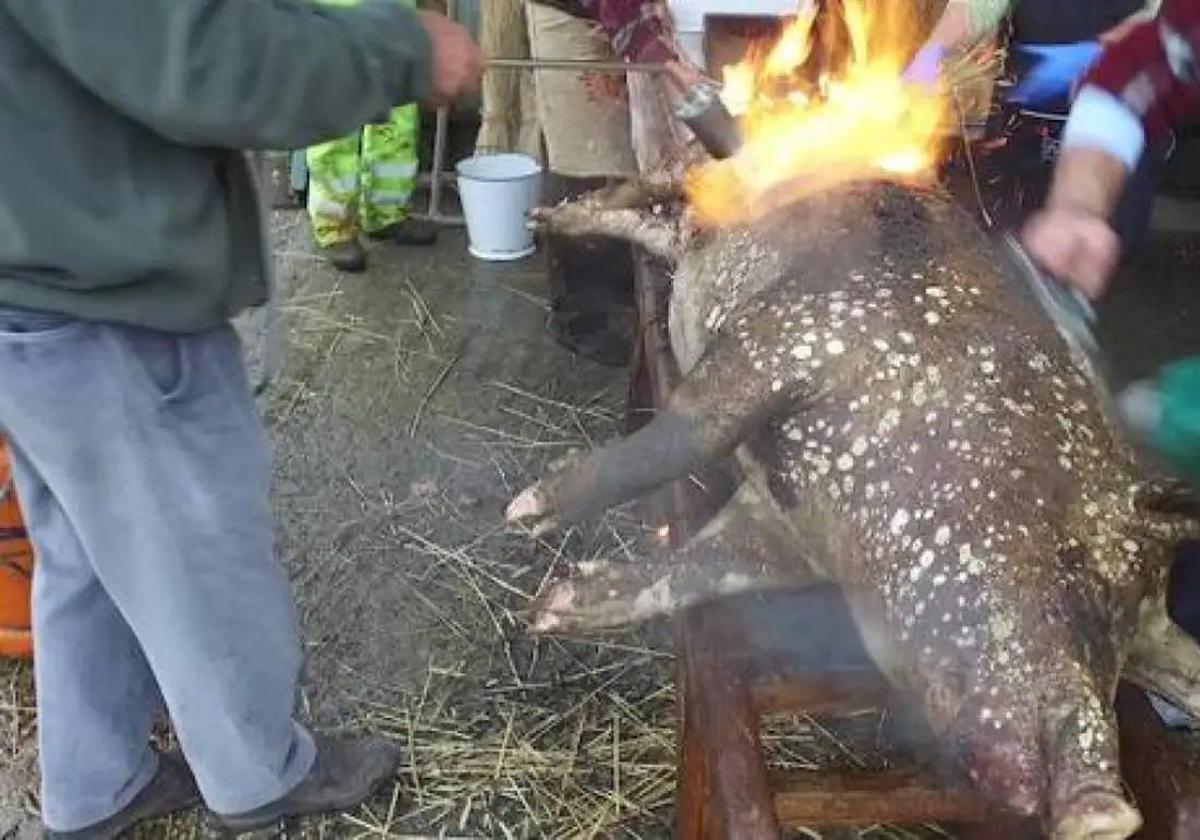 La matanza cada vez se menos usual en León.