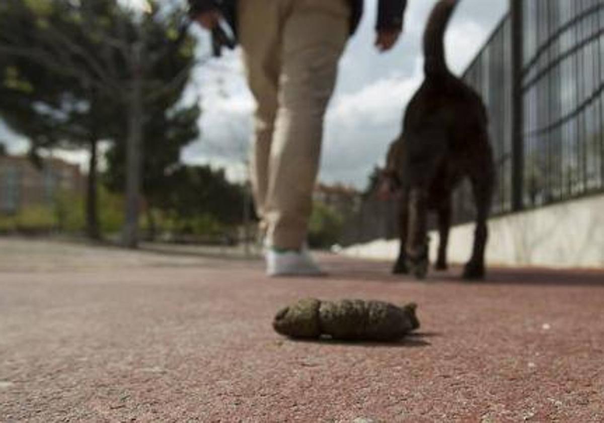 Excremento abandonado por el dueño de un perro.