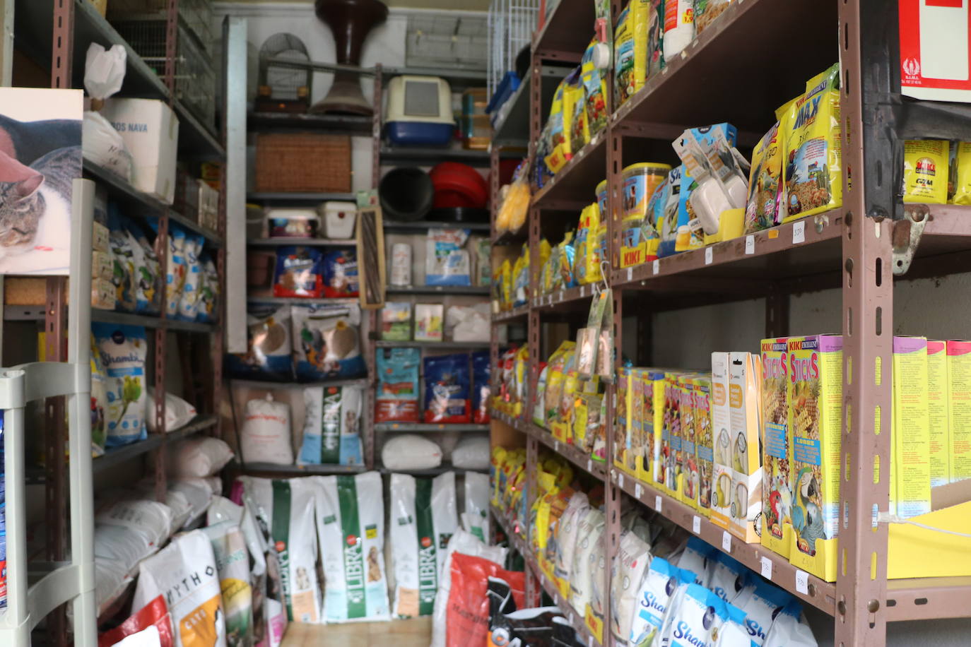 Un negocio singular: la Pajarería Rubén de Villablino