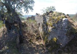 Vista de uno de los muros paralelos del castillo.
