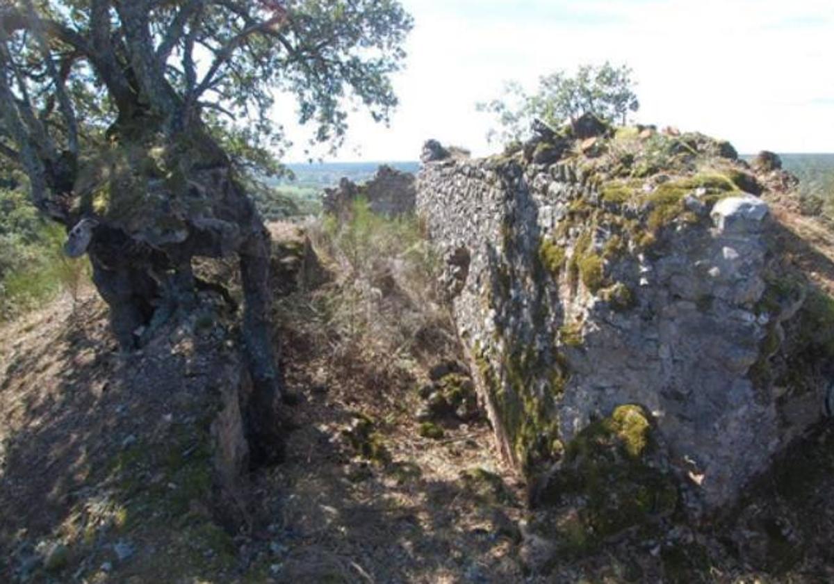 Vista de uno de los muros paralelos del castillo.