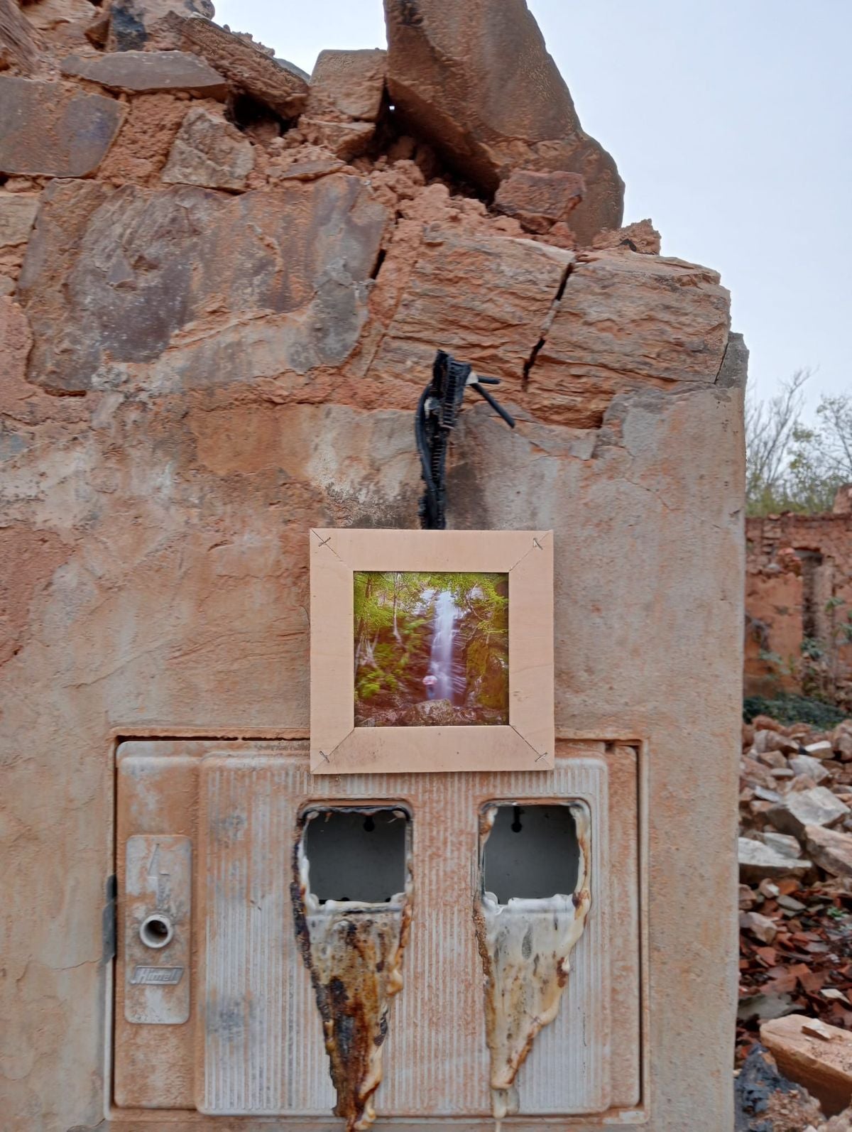 La exposición «Naturaleza» llega a Tejadinos