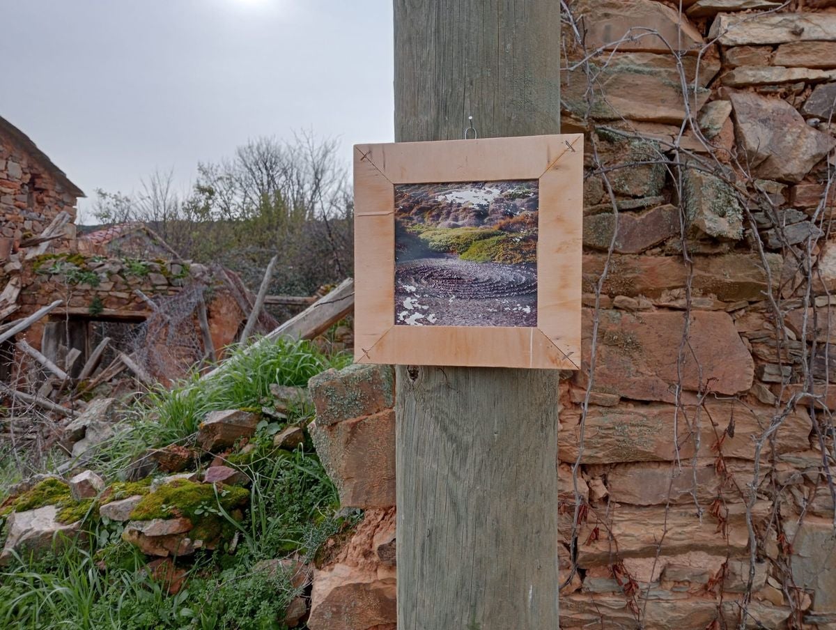 La exposición «Naturaleza» llega a Tejadinos