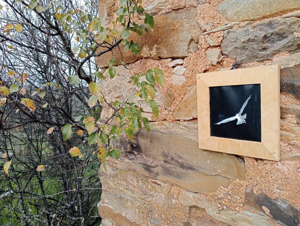 La exposición «Naturaleza» llega a Tejadinos
