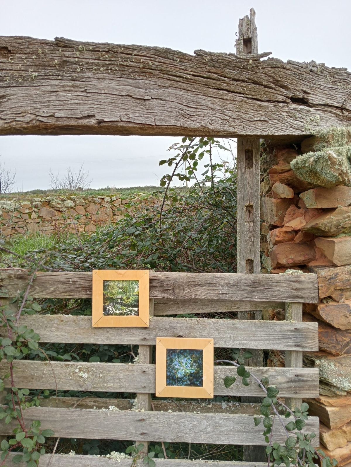 La exposición «Naturaleza» llega a Tejadinos