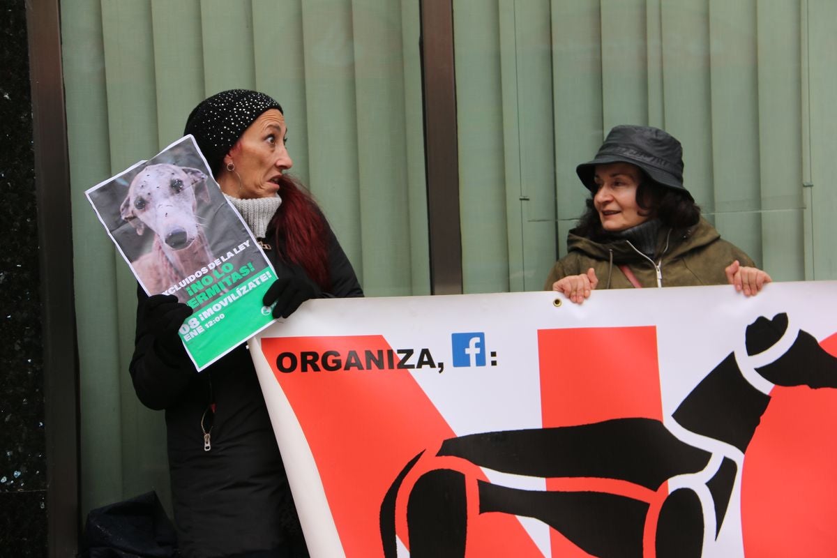 Pacma León se ha concentrado este domingo frente a las puertas del Ayuntamiento de León para exigir al Gobierno un cambio en la ley de protección animal.