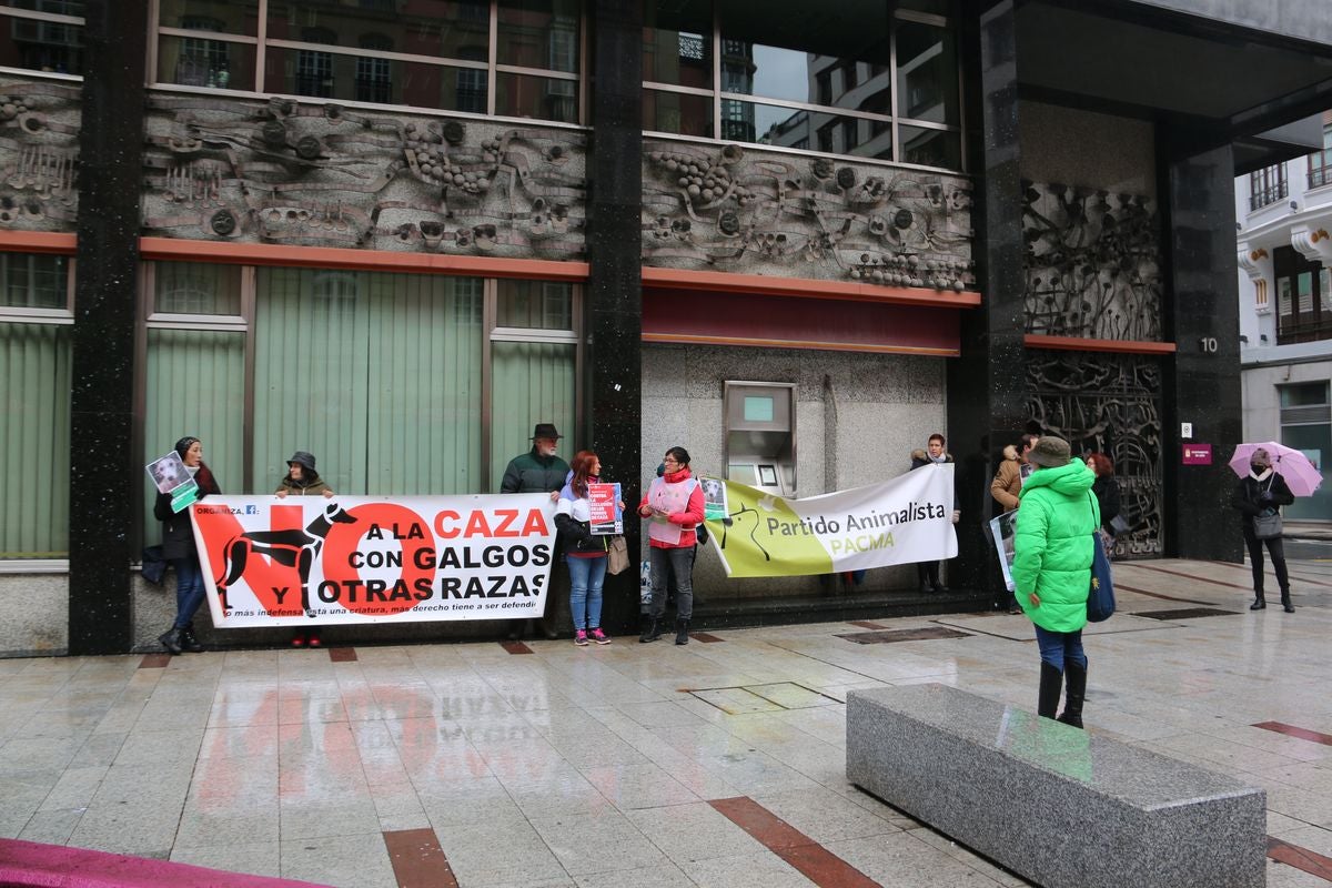 Pacma León se ha concentrado este domingo frente a las puertas del Ayuntamiento de León para exigir al Gobierno un cambio en la ley de protección animal.