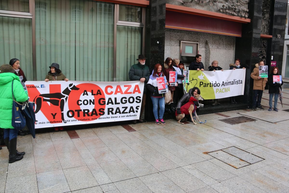 Pacma León se ha concentrado este domingo frente a las puertas del Ayuntamiento de León para exigir al Gobierno un cambio en la ley de protección animal.