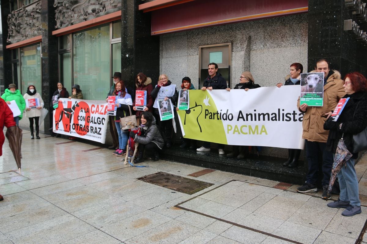 Pacma León se ha concentrado este domingo frente a las puertas del Ayuntamiento de León para exigir al Gobierno un cambio en la ley de protección animal.