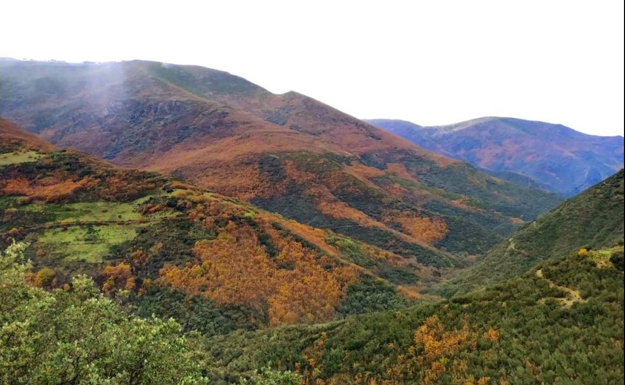 Imagen de la zona de la Cabrera, lugar en el que se ha proyectado esta central.