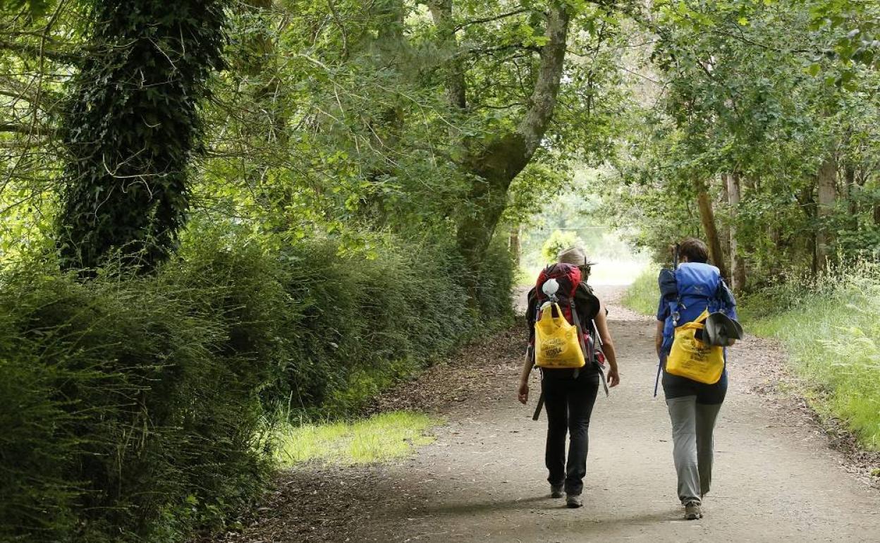 Dos peregrinos reciclando mientras realizan el Camino de Santiago.