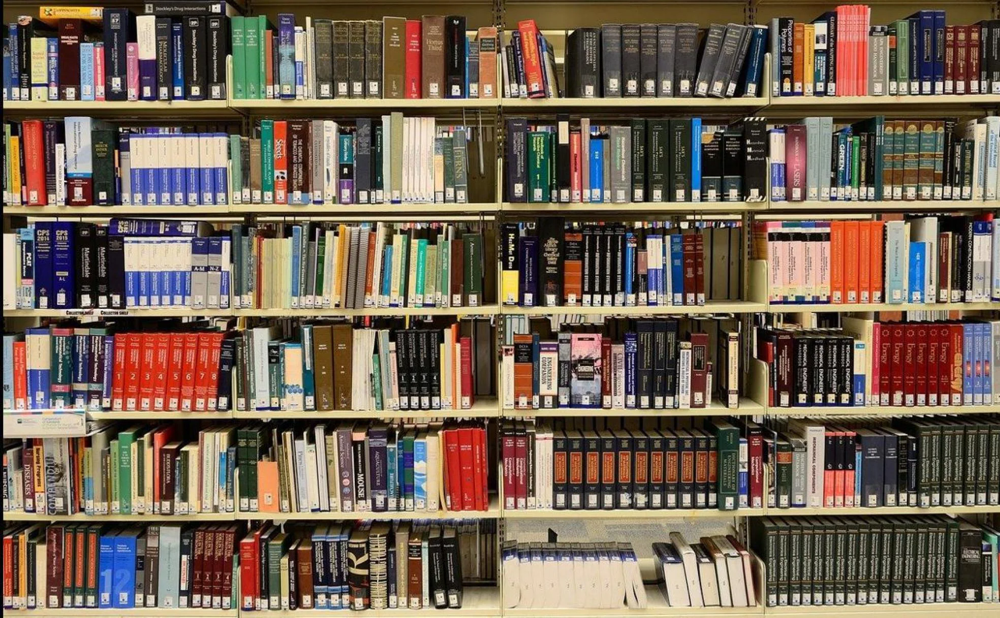 Las bibliotecas municipales de León ofrecen el decálogo de libros más prestados en 2022.