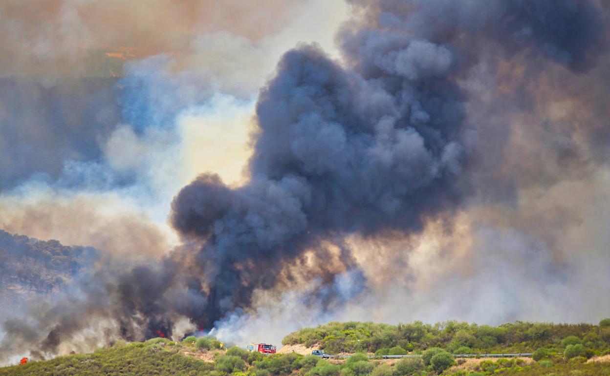 El incendio de la Sierra de la Culebra fue uno de los más severos de la historia de país.
