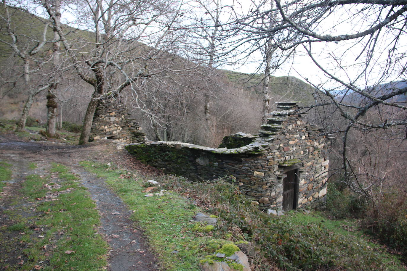 Leonoticias recorre las calles de Los Montes de la Ermita con algunos de sus vecinos. Unas casas de piedra construidas por los padres y abuelos de quien hoy las habitan que hacen del lugar un entorno mágico. 