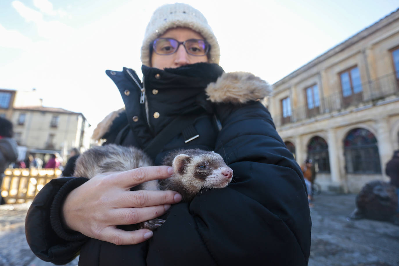 Bendición de las mascotas leonesas por San Antón