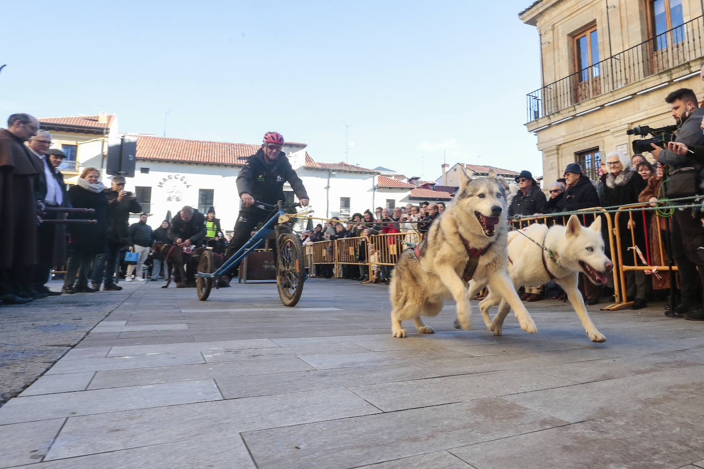 Bendición de las mascotas leonesas por San Antón