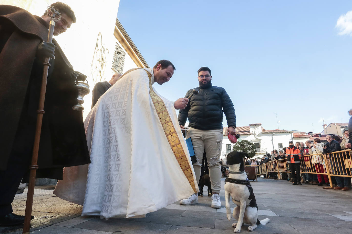 Bendición de las mascotas leonesas por San Antón