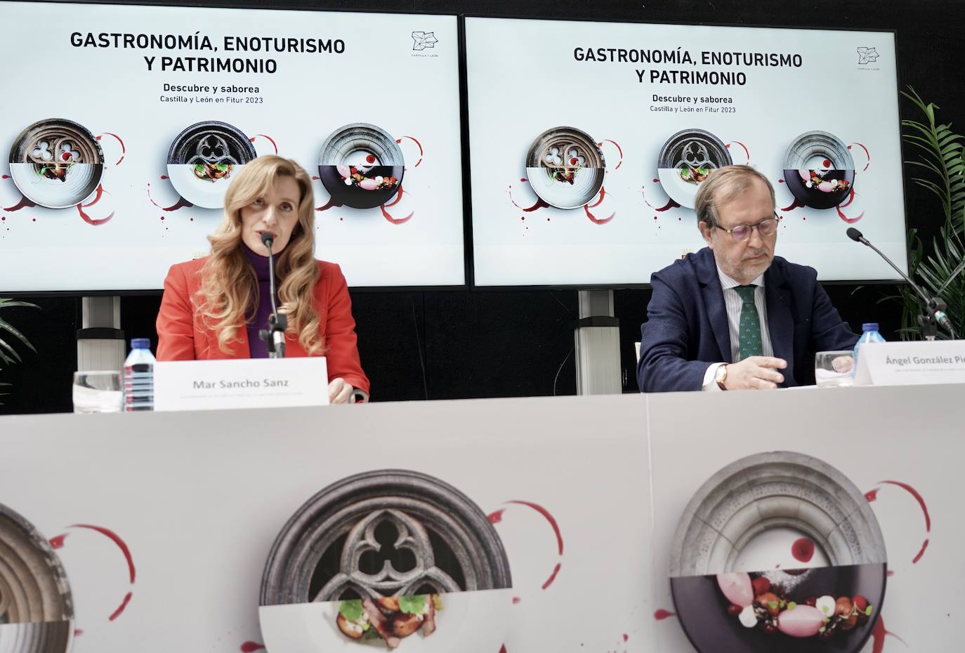 La viceconsejera de Acción Cultural, Mar Sancho, presenta la participación de la Junta de Castilla y León en la Feria Internacional de Turismo, Fitur 2023.