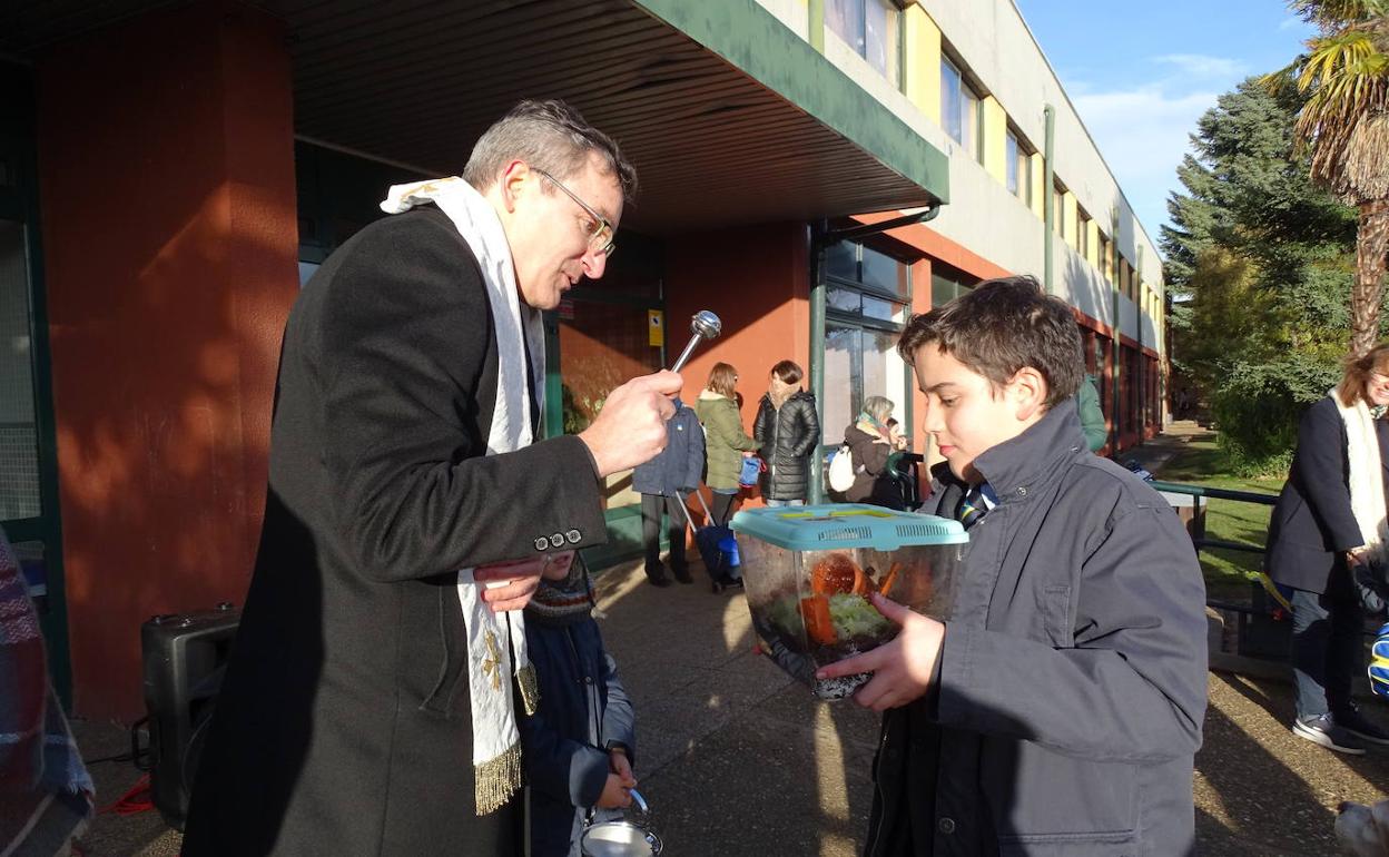 Imágenes de las mascotas de los alumnos en el Colegio de Peñacorada. 
