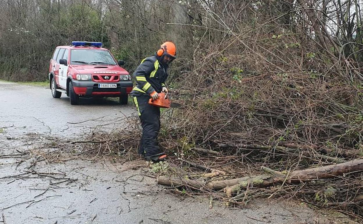 Los bomberos retiraron un árbol caído en la carretera de acceso a la localidad de San Clemente.