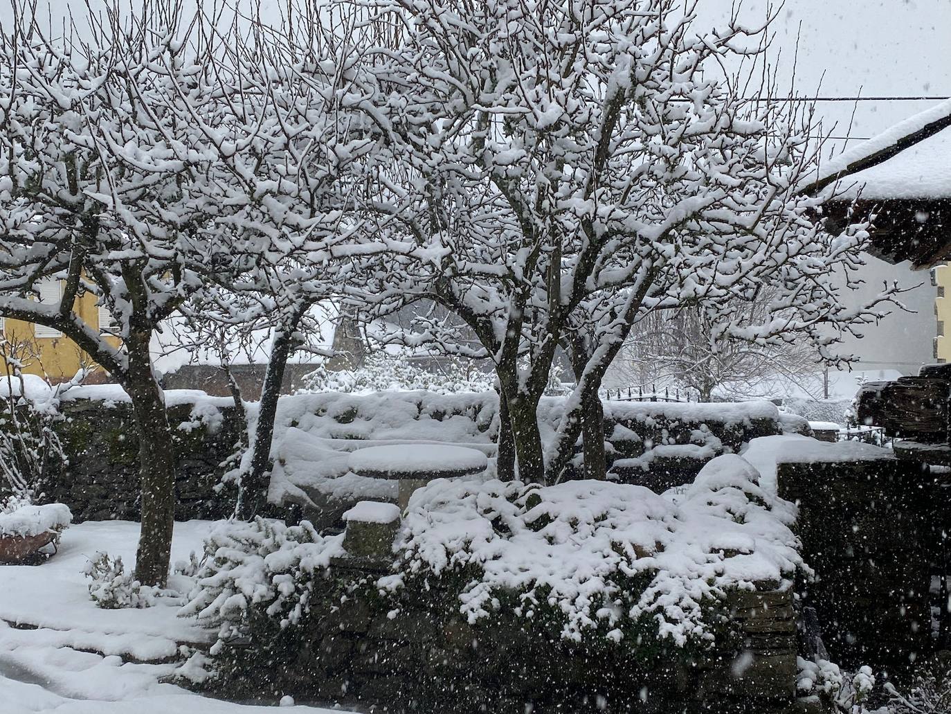 Galería. Nieve en la provincia de León.