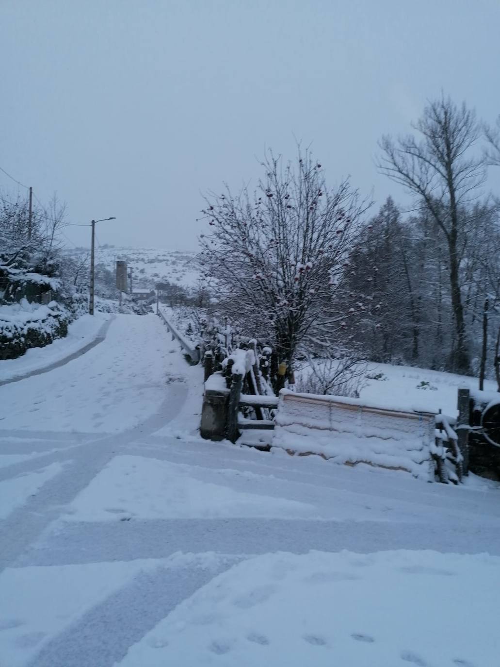 Estampas de nieve en zonas como Cubillas, Lugueros, Villamanín, Villablino, Fontún, Buiza y Villar del Puerto.