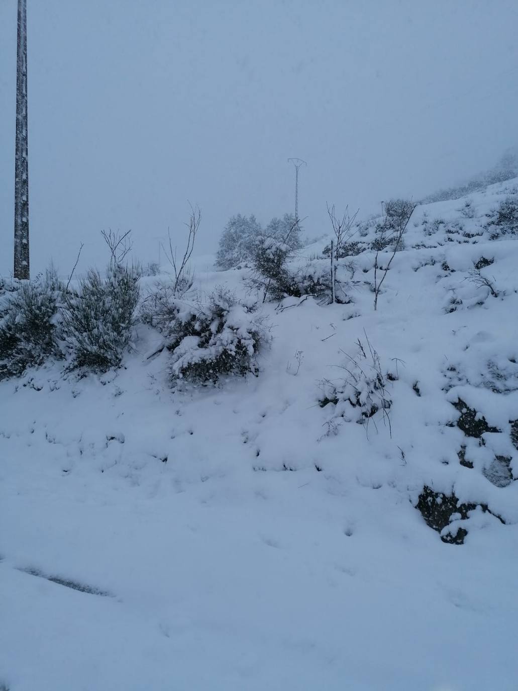 Estampas de nieve en zonas como Cubillas, Lugueros, Villamanín, Villablino, Fontún, Buiza y Villar del Puerto.