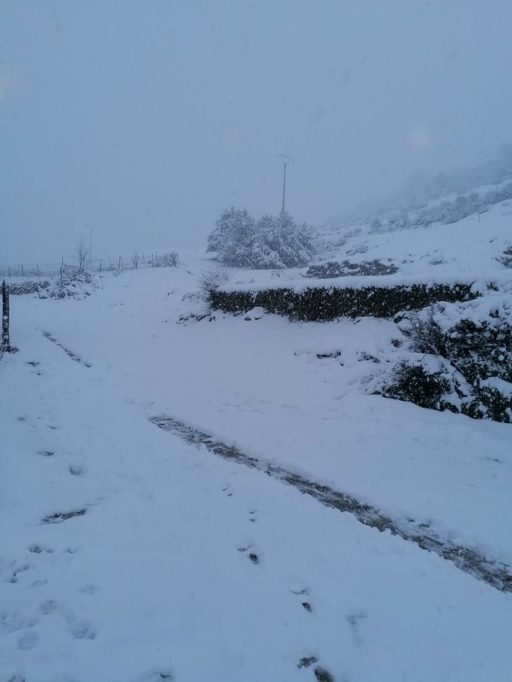 Estampas de nieve en zonas como Cubillas, Lugueros, Villamanín, Villablino, Fontún, Buiza y Villar del Puerto.