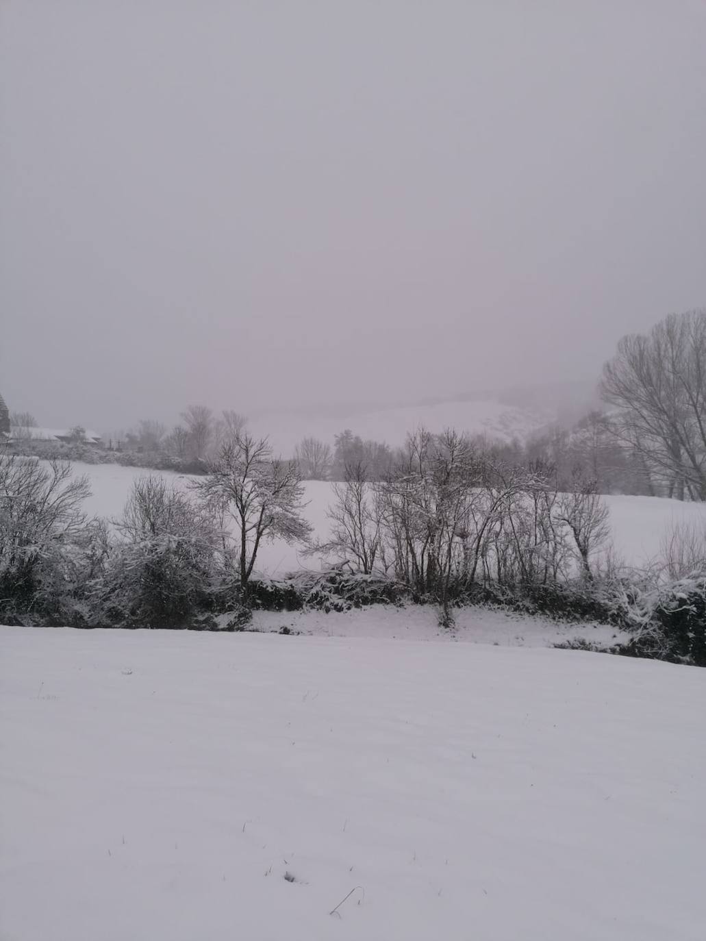 Estampas de nieve en zonas como Cubillas, Lugueros, Villamanín, Villablino, Fontún, Buiza y Villar del Puerto.